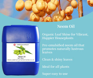 زيت النيم العضوي 100% المعصور على البارد بالجملة، زيت ناقل للزراعة - Product Image 3