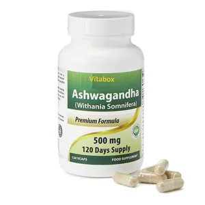 Kapsul ekstrak ashwagandha label pribadi 5%-10% kapsul suplemen herbal lakton untuk pria wanita