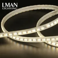 Bande lumineuse LED à double couleur SMD2835, étanche IP65, avec variateur d'intensité, télécommande, 144 LED/m, CRI élevé 80, AC 110-220V