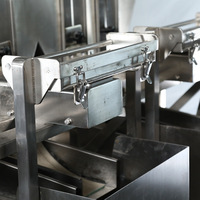 Peseur linéaire entièrement automatique multifonction à 2 têtes remplissant la machine d'emballage alimentaire de particules de boule de chocolat