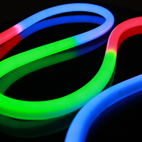 Bande LED RGB personnalisée de 1 m en PVC 24 V, tube néon flexible à 360 degrés, adressable, IP68, RGBIC, contrôleur CCT, interrupteur, pour aménagement paysager