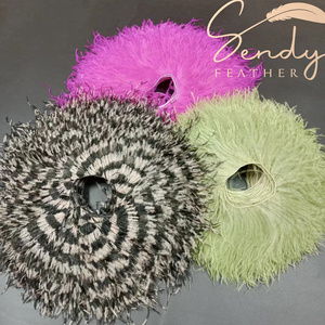 Bordura di Piume di Struzzo da Cucire <span class=keywords><strong>Frange</strong></span> Piume Spogliate Nastro di Pizzo per Abiti Tessuti Cappelli e Costumi - Product Image 6