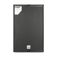 Haut-Parleur Extérieur Étanche T24N Système de Sonorisation Passif de 12 Pouces pour Vente en Gros