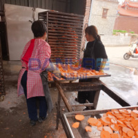 Machine de séchage de fruits personnalisée, four de séchage à pompe à chaleur pour miel, équipement de déshydratation de patates douces