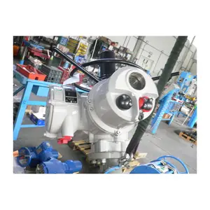 Forged Globe Valve Size 2'' NPT Ends Carbon Steel Flow Regulation Block Valve For Industrial Use