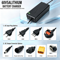 Pengisi Daya Lithium Cerdas Tahan Lama Berkualitas Tinggi 60V5A 73V75.6V79.8V Pengisi Daya Baterai Lifepo4 Pengisi Daya Sepeda Motor Listrik Skuter Listrik