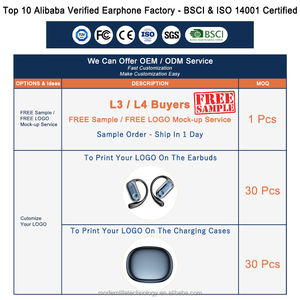 หูฟังแปล<span class=keywords><strong>ภาษ</strong></span>า YYK-Q17 AI แบบเกี่ยวหู สำหรับเล่นกีฬา พร้อ<span class=keywords><strong>ม</strong></span>ฟังก์ชันแปลภาษาแบบออนไลน์สำหรับการสนทนาด้วยเสียงและวิดีโอ (เคลือบด้วยไฟฟ้า) - Product Image 2