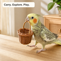 Panier miniature tressé en plastique fait main, jouet à mâcher pour oiseaux et perroquets, jouet suspendu pour la recherche de nourriture en cage, pour calops et petits oiseaux, vente en gros