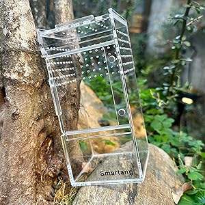 Caja de Acrílico Transparente con Tapa para <span class=keywords><strong>Tarántulas</strong></span>, Recinto para Arañas, Mascotas, Reptiles y Anfibios, Jaula para Arañas <span class=keywords><strong>Tarántulas</strong></span> - Product Image 3