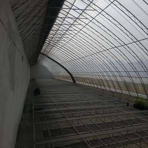<span class=keywords><strong>Serre</strong></span> de <span class=keywords><strong>tunnel</strong></span> en plastique renforcé solaire passif avec cadre en acier galvanisé à chaud utilisé en hiver - Product Image 4