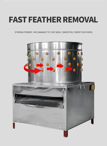 Bon produit Offre Spéciale plumeuse de volaille en acier inoxydable/machine à plumer le tambour de poulet/caille/<span class=keywords><strong>pigeon</strong></span> - Product Image 3