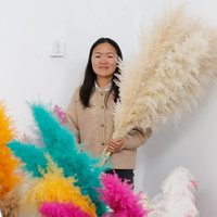 Bunga Kering Alami Grosir, Rumput Pampas Putih Coklat 50-60cm, Dekorasi Rumah, Pernikahan, Hari Ibu, Natal