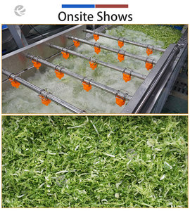 Solution de traitement des légumes fraîchement coupés pour usine alimentaire 1-3T – Machine personnalisée de tri, lavage, découpe, séchage et emballage des légumes - Product Image 4