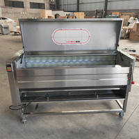 Commerciële Volautomatische Fruit-En Groenteborstel-Type Wasmachine, Aardappel Reinigings-En Schilmachine, Cassave