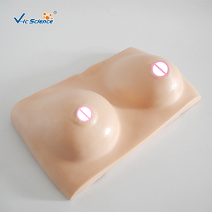 Modelos Avanzados de Examen de Mama para Ciencias Médicas - <span class=keywords><strong>Material</strong></span> de PVC para Educación Médica - Product Image 5