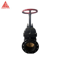 Válvula de Compuerta de Hierro Dúctil Z41T DIN3352 F4 Manual de 8 Pulgadas PN10 PN16 con Vástago Ascendente y Sello de Latón