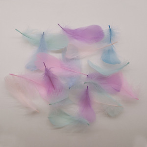 Dyed Goose Feathers Multi Color Decorative Painting Craft Supplies Handmade Home Decor Accessories - Product Image 1