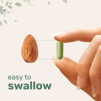 Suplemento Herbal para Adultos en Oferta, Semilla de Moringa 6000 mg Equivalente a 60 Cápsulas, Algas Verdes Super Energéticas y Reforzadoras del Sistema Inmunitario