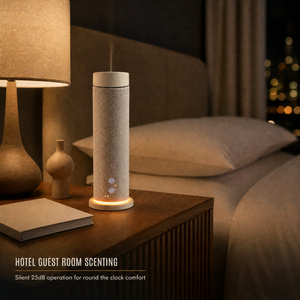 Diffuseur d'arômes sans eau à deux fluides OEM ODM 120 ml, nébuliseur d'huiles essentielles pures pour magasins de détail, salles d'exposition, approvisionnement en gros - Product Image 1