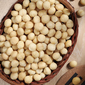 Venda Direta Do Fabricante Australiano New Original Flavor Macadamia Nuts Cru Frutas Secas Processadas para Uso Alimentar - Product Image 2