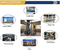 Chine Fabricant 600,700,800kg Bas Prix LSH Vertical Pellet Chauffage Chaudière Machines pour Centrale Électrique