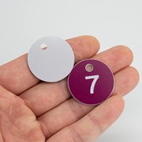 Logo gravé plastique numéro ID Tags porte-clés porte-clés étiquette avec diamètre évidé série numéro étiquette pour casier Slip disques