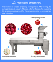 Volledig automatische industriële machine voor het wassen, schillen en sapwinning van granaatappels