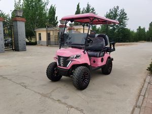 Voiturette de golf 4x4 à 4 places facile d'entretien pour parcs, attractions touristiques, terrains de golf et centres d'exposition - Product Image 4