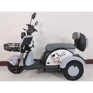 YOUYUAN 3輪大人用電動三輪車高齢者用三輪車乗客大人用電動三輪車卸売