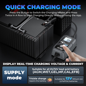 TOPDON-<span class=keywords><strong>Chargeur</strong></span> <span class=keywords><strong>de</strong></span> <span class=keywords><strong>Batterie</strong></span> Intelligent TB6000 Pro 12V 6A <span class=keywords><strong>pour</strong></span> <span class=keywords><strong>Moto</strong></span>, Voiture Intelligente, avec Réparation d'impulsion Lcd, Nouveau Design - Product Image 5
