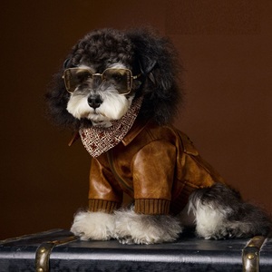 เสื้อผ้าสัตว์เลี้ยง เสื้อแจ็คเก็ตหนัง PU สไตล์อังกฤษย้อนยุคสำหรับสุนัข แขนยาว <span class=keywords><strong>กางเกง</strong></span>สองสายรัดเก๋ไก๋ คุณภาพสูง โลโก้ปรับแต่งได้ - Product Image 1