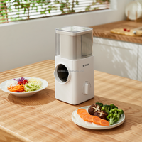 Hoogrenderende Voedselhakselaar Nieuwste Producten Met Keukenaccessoires Mini-Groentesnijder Voor Keukengereedschap En Gadgets.