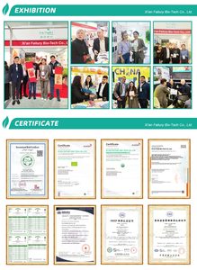 Faitury oem תווית פרטית אורז טבעי חלבון אפונה לבודד צמח אבקת חלבון טבעונית - Product Image 6