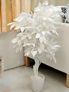 Giả Cây Và Lá Trắng Sợi Thủy Tinh Gỗ Banyan Cây <span class=keywords><strong>Ficus</strong></span> Giả Nhân Tạo Banyan <span class=keywords><strong>Ficus</strong></span> Cây Cho Trang Trí Nội Thất - Product Image 5