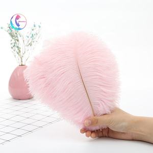 ダチョウの羽帽子工芸品パーティーと家庭装飾用カラフル20-25 cm - Product Image 3