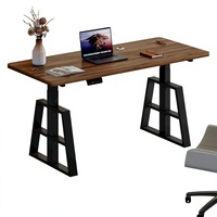 Table élévatrice électrique à moteur simple/double, bureau intelligent pour ordinateur, bureau pour e-sport, bureau à domicile, pieds en métal