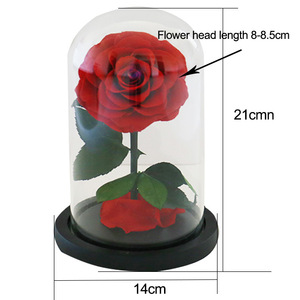 2025 anni all'ingrosso conservato rosa In vetro cupola per sempre eterno S fiore per San Valentino regali Domebest qualità - Product Image 2