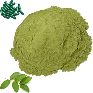 100% Natural and Organic Fruit&Vegetable Powders Exporter Wholesale Prices Pure Plant Extract From Fruit Guava Leaf