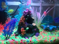 Vente en gros d'aquariums et d'accessoires Décoration d'aquarium Montagne en silicone non toxique Coral Mountain Ensemble de récifs coralliens colorés