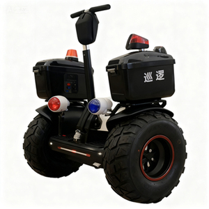 Carrito de Patrulla Eléctrico Equilibrado para Propiedades y Áreas Escénicas - Gran Venta - Product Image 1