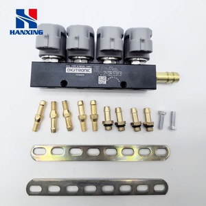 Modifikasi Mobil LPG/CNG dari Oli ke Gas Gray DIGI Spray Rail 2 Ohm Suku Cadang Mobil Gas Standar - Product Image 2