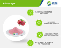 EU&NOP Biologische Voedingsmiddelenklasse Instant Granaatappel Aroma Poeder Granaatappelsap Concentraat en Fruitextract