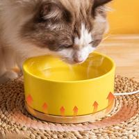 Bol à eau pour animaux de compagnie chauffé en céramique, électrique, étanche, avec fontaine à température constante pour chats, utilisation hivernale