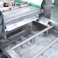Ligne de production automatique de lavage de crevettes et de nettoyage de poisson en queue de phénix avec séchage à l'air, en acier inoxydable SUS 304/316, capacité 500-800 kg/h