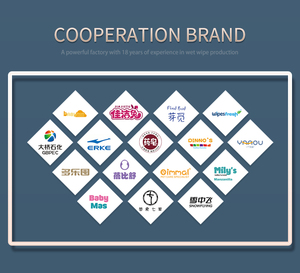 Toallitas para Mascotas 100% Naturales a Base <span class=keywords><strong>de</strong></span> Plantas Orgánicas para <span class=keywords><strong>Perros</strong></span> y Gatos con Material <span class=keywords><strong>de</strong></span> Papel para Limpiar y Desodorizar - Product Image 6