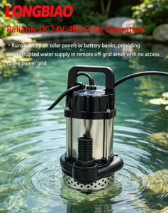 <span class=keywords><strong>Pompe</strong></span> à eau solaire flottante portable SPV 250W-1000W, auto-amorçante hors réseau pour le transfert d'eau de lac et l'arrosage de jardin - Product Image 6