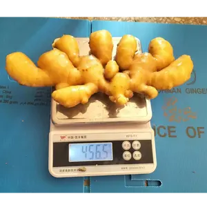 New crop chinese Ginger Type fresh ginger/yellow ginger/Air dry ginger