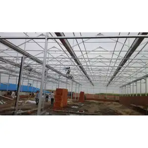 High quality cheap price agriculture greenhouse hydroponics with plastic film