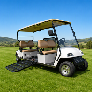 Carrito de <span class=keywords><strong>Golf</strong></span> con silla de ruedas para discapacitados, vehículo eléctrico para discapacitados - Product Image 1