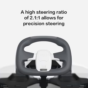 Maserati Version 40km/h Ninebot Electric Racing <strong>Go</strong> <strong>Karts</strong> Baked Varnish for Kids and Adults Pro Karting - Product Image 5